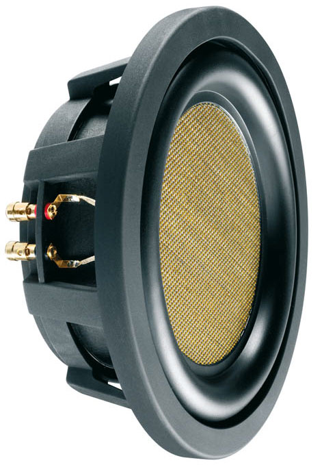 Автомобильный сабвуфер Helix E 250 Автомобильный сабвуфер Helix E 250